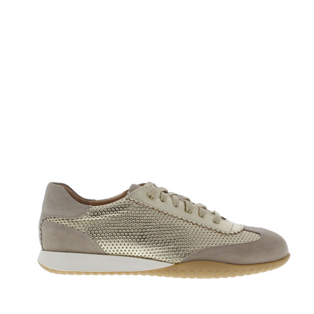 Rapid Soul Wiskje perfo dunne zool | dames | maat: | combinatie 110011 large
