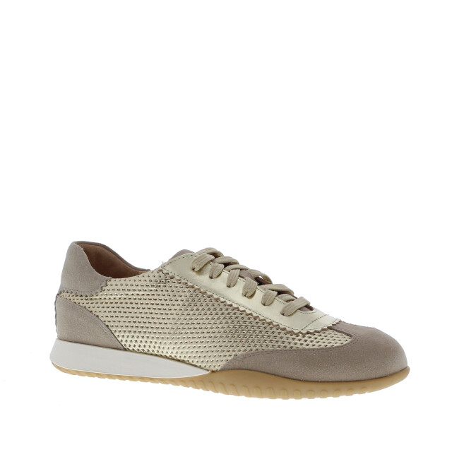 Rapid Soul Wiskje perfo dunne zool | dames | maat: | combinatie 110011 large