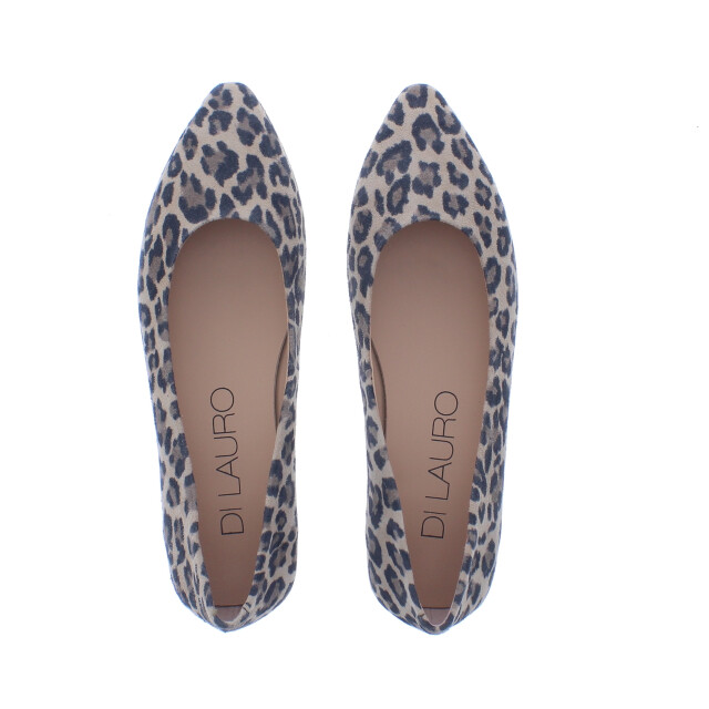 Di Lauro Alcan tara ballerina spits | dames | maat: | suede 110016 large