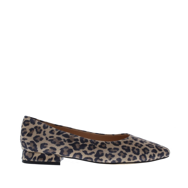 Di Lauro Alcan tara ballerina spits | dames | maat: | suede 110016 large