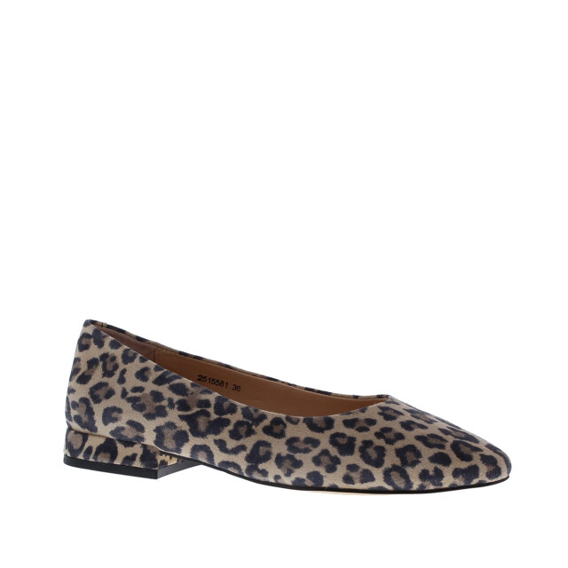 Di Lauro Alcan tara ballerina spits | dames | maat: | suede 110016 large