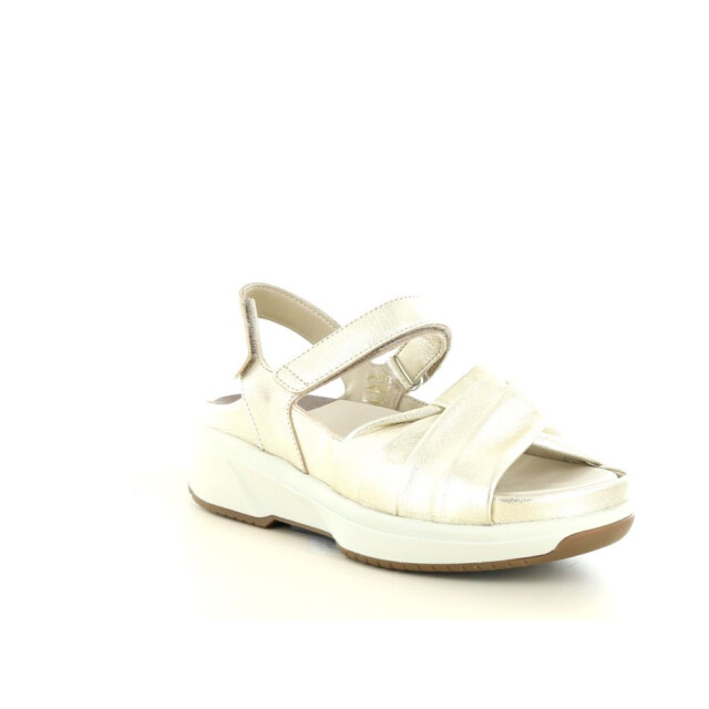 Xsensible 290.97.115 Sandalen Goud 290.97.115 large