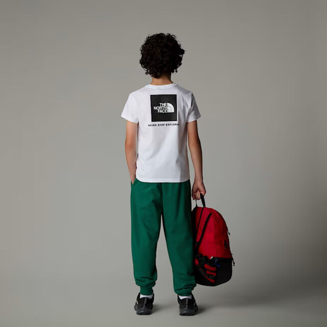 The North Face Casual t-shirt jongens NF0A89VT large