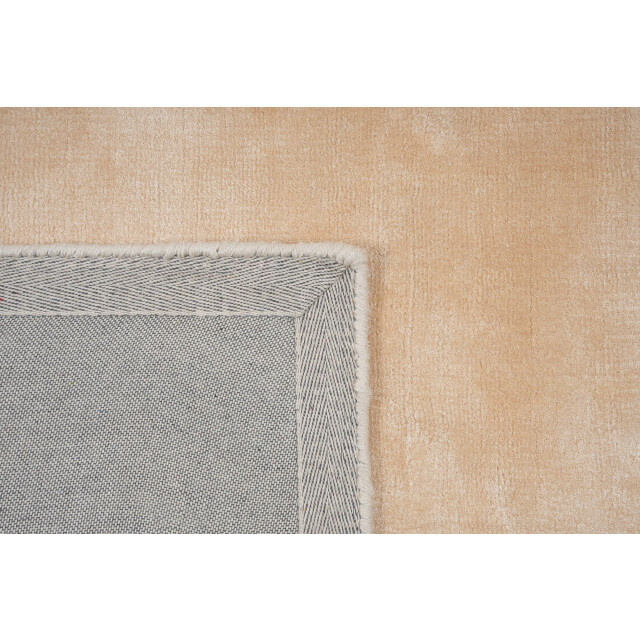 Velaar Vloerkleed vanessa – luxe viscose laagpolig modern tapijt- 160x230 cm 3172108 large