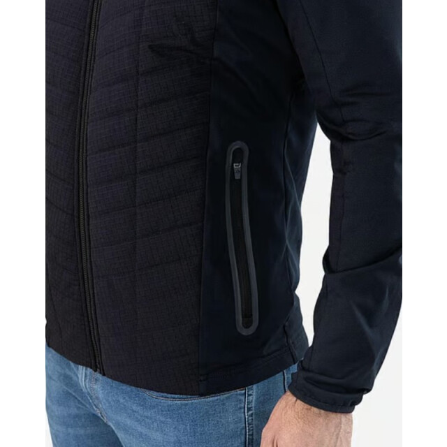 Falcon Stedman dark blue stedman n024 FALCON Stedman Dark Blue stedman n024 large