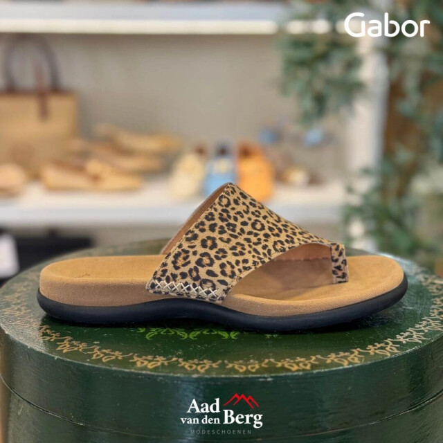 Gabor 63.700 Slippers Bruin 63.700 large