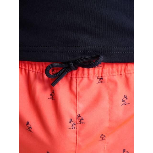Petrol Industries men swimshort m-1050-sws951 3099 fiery coral 05412.630.0007 large