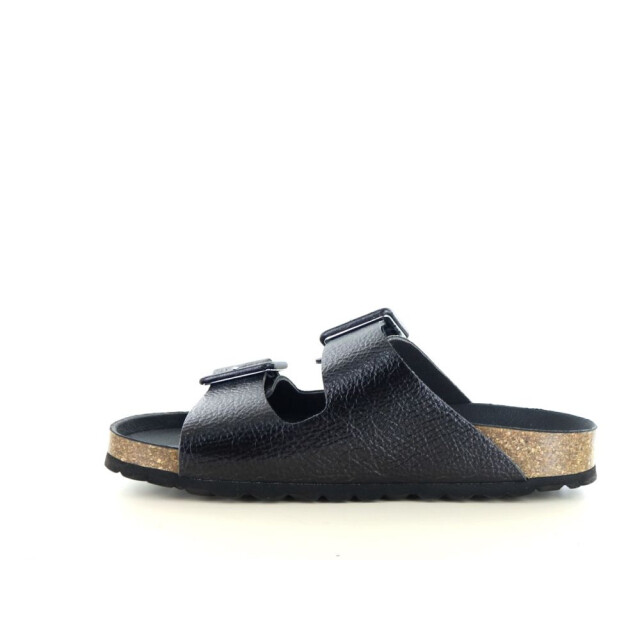 Verbenas Randell 281.90.276 large