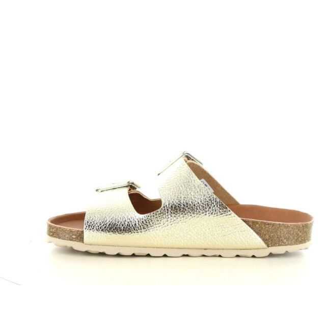 Verbenas Randell 281.98.275 large