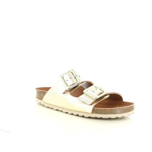 Verbenas Randell 281.98.275 large