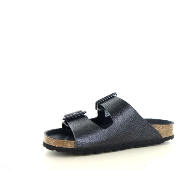 Verbenas Randell 281.90.276 large