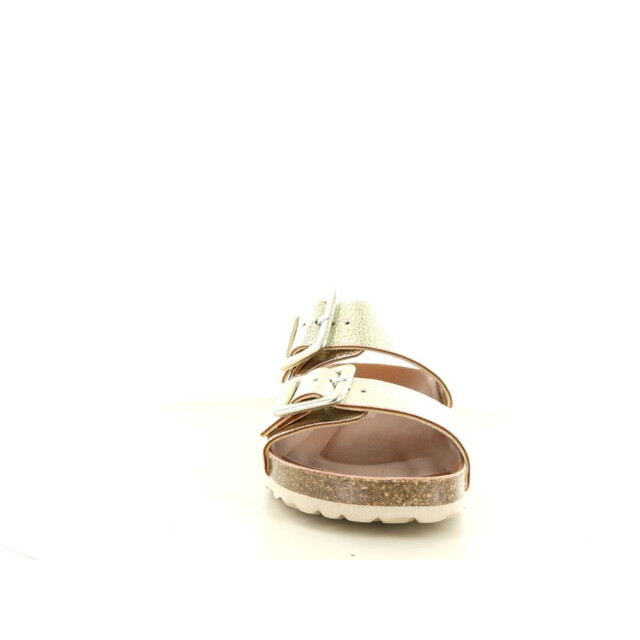 Verbenas Randell 281.98.275 large