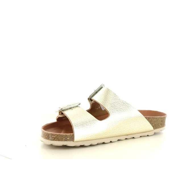 Verbenas Randell 281.98.275 large