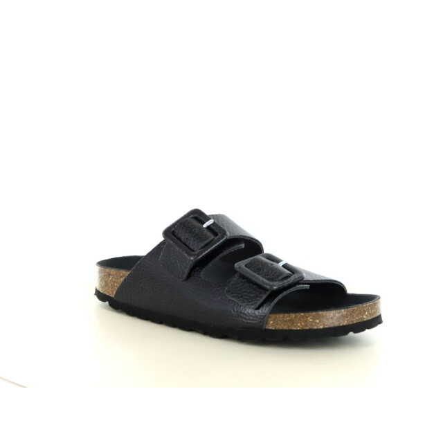 Verbenas Randell 281.90.276 large
