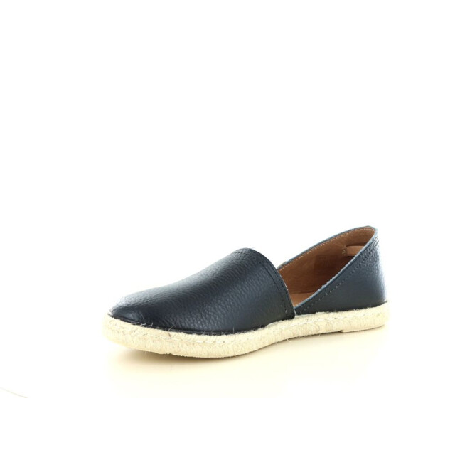 Verbenas Carmen 247.90.179 large