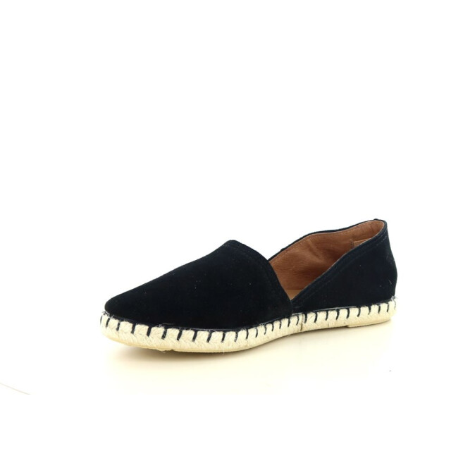 Verbenas Carmen 247.90.200 large