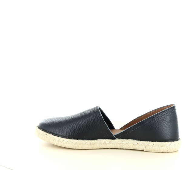 Verbenas Carmen 247.90.179 large