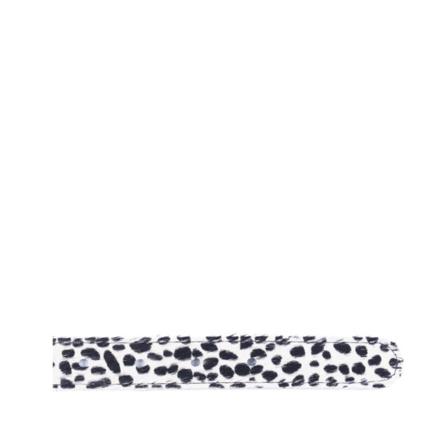 Dstrct 30801 dots 30801 DOTS large