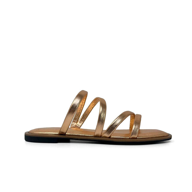 Cycleur de Luxe Narcissus CDLWI251034 large
