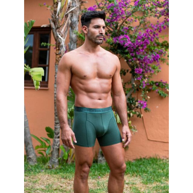 Muchachomalo Men 2-pack boxer shorts koala - Print/Green/Men 2-pack Boxer Shorts print/ large