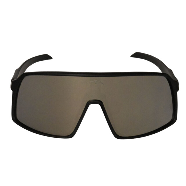 Buckels Fietsbril 9406 large