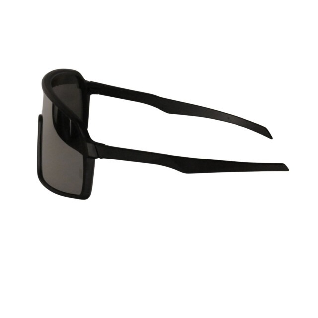 Buckels Fietsbril 9406 large