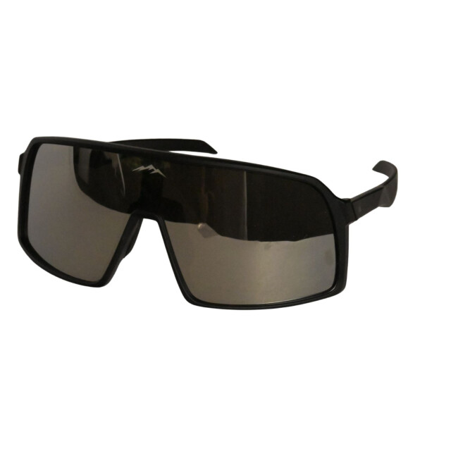 Buckels Fietsbril 9406 large