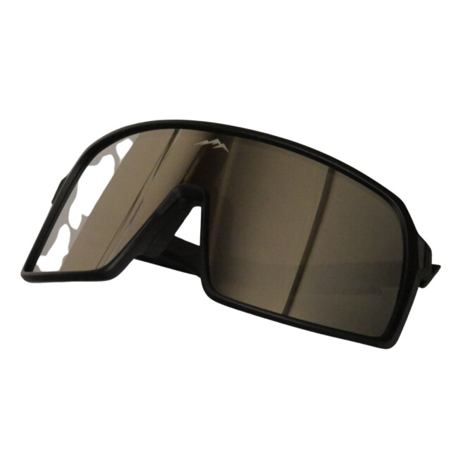 Buckels Fietsbril 9406 large