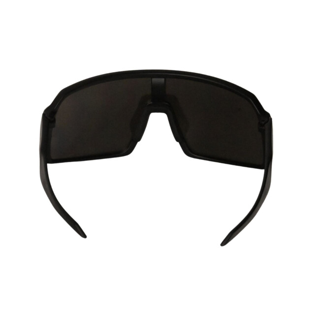 Buckels Fietsbril 9406 large