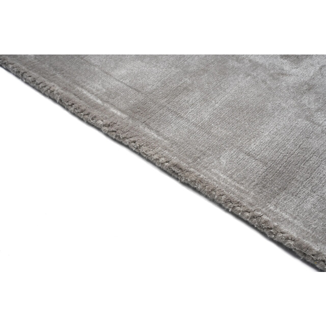 Velaar Vloerkleed vanessa zilver – luxe viscose laagpolig modern tapijt- 195x300 cm 3172109 large