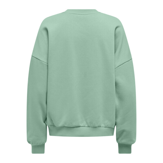 Only Onlbetty ls o-neck print box cs swt mint 4209.21.0005 large