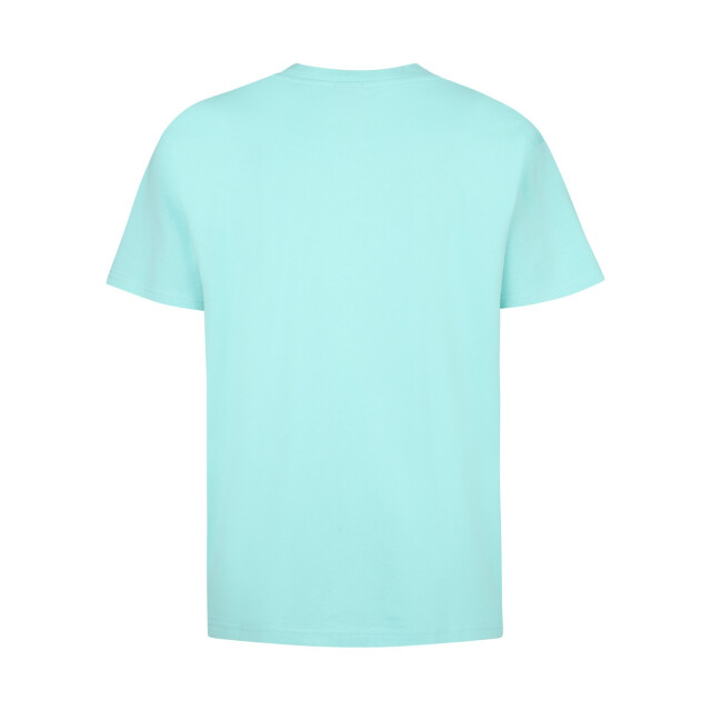 Petrol Industries Men t-shirt ss aqua 5339.32.0008 large