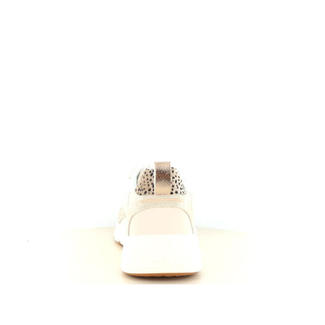 Posh C1932131a 237.40.383 large