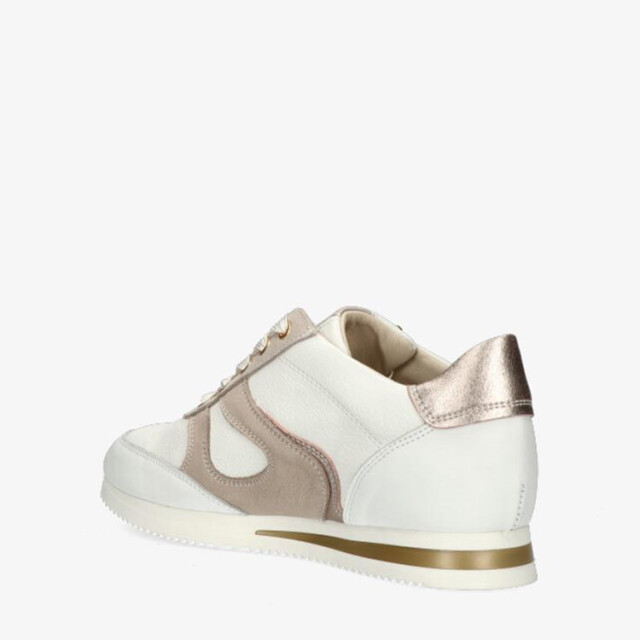 DL Sport 6251 6251 large