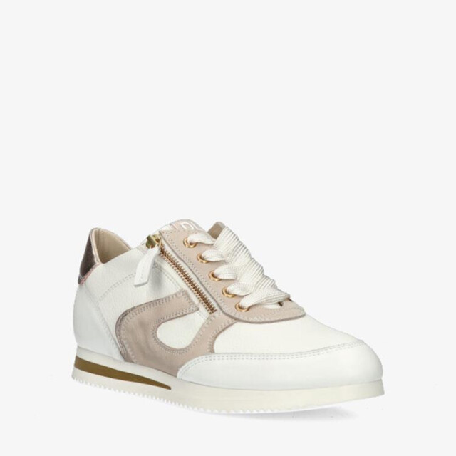 DL Sport 6251 6251 large