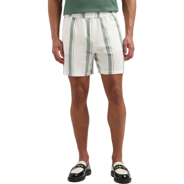 Pure Path Regular fit casual shorts 25010518-45 large