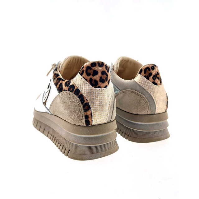 Cetti C1374 sneakers C1374 large