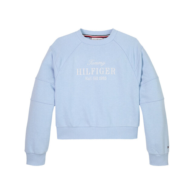 Tommy Hilfiger Sweat kg0kg08452 Tommy Hilfiger Sweat KG0KG08452 large