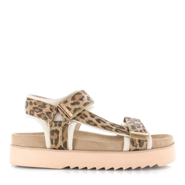Maruti beau sandalen luipaardprint plateau sandalen dames 66.1653.01-DJN large