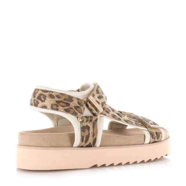 Maruti beau sandalen luipaardprint plateau sandalen dames 66.1653.01-DJN large