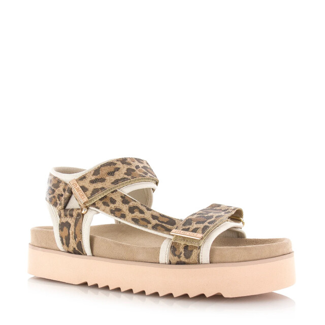 Maruti beau sandalen luipaardprint plateau sandalen dames 66.1653.01-DJN large