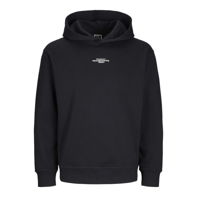 Jack & Jones Jcoalpha mountain print sweat hood - 5209.80.0253 large