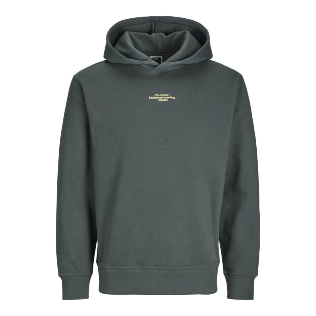 Jack & Jones Jcoalpha mountain print sweat hood oud 5209.23.0018 large