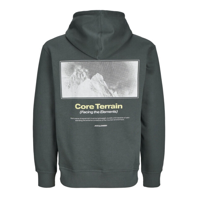 Jack & Jones Jcoalpha mountain print sweat hood oud 5209.23.0018 large