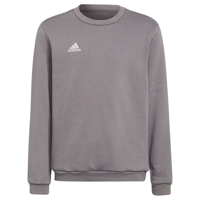 Adidas Kinderen/kinderen entrada 22 sweatshirt UTMR1631_grey large