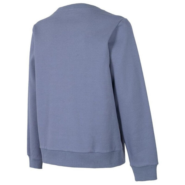 4F Dames h4z22 sweatshirt UTMR1536_grey large