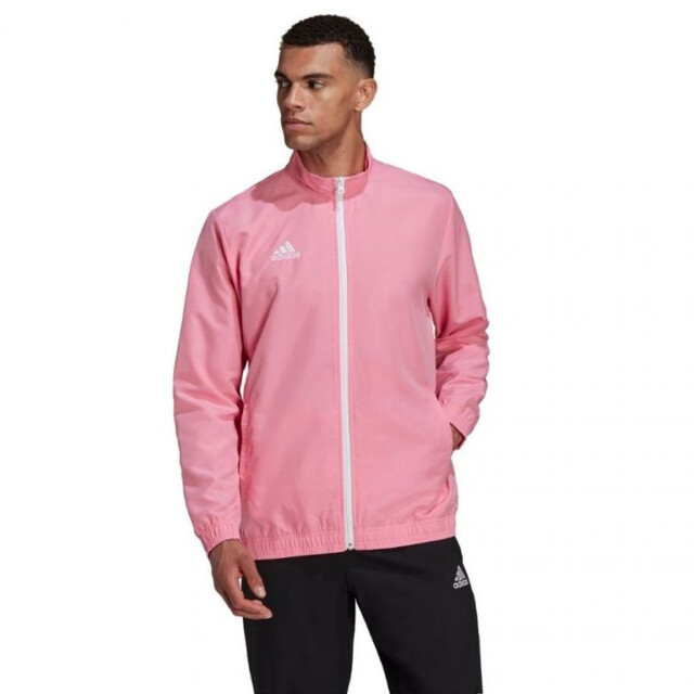 Adidas Heren entrada 22 presentatiejas UTMR1570_pink large