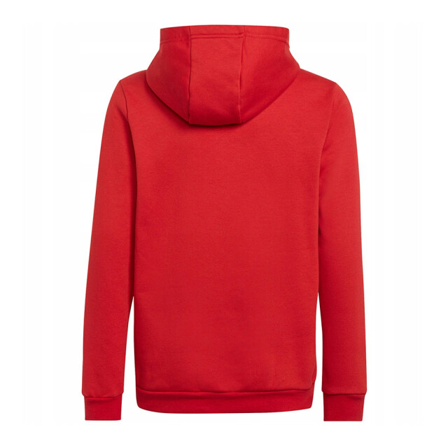 Adidas Kinderen/kinderen entrada 22 hoodie UTMR1455_red large