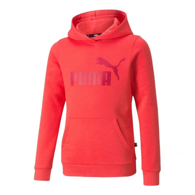 Puma Kinder/kids essential logo hoodie UTMR1214_red large
