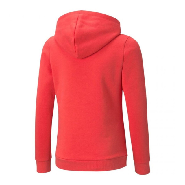 Puma Kinder/kids essential logo hoodie UTMR1214_red large